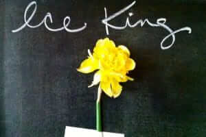 Ice King - A daffodil is just a daffodil