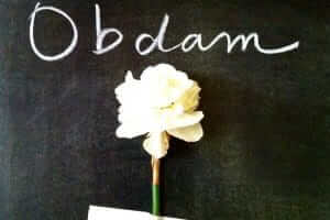 Obdam- A daffodil is just a daffodil