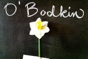 O' Bodkin - A daffodil is just a daffodil
