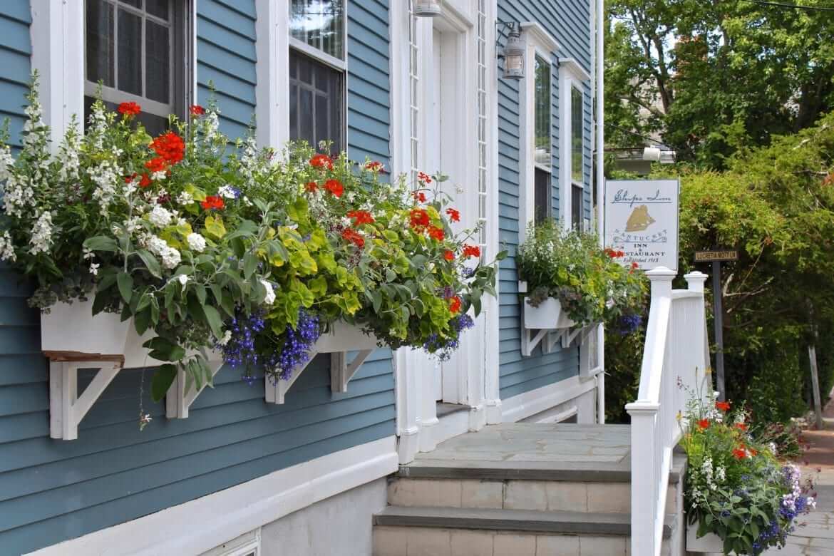 Nantucket Window Boxes Nora Murphy Country House