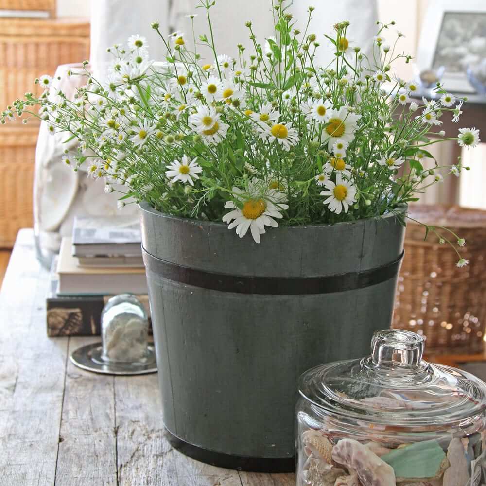 Grey Green Painted Sap Bucket - Nora Murphy Country House