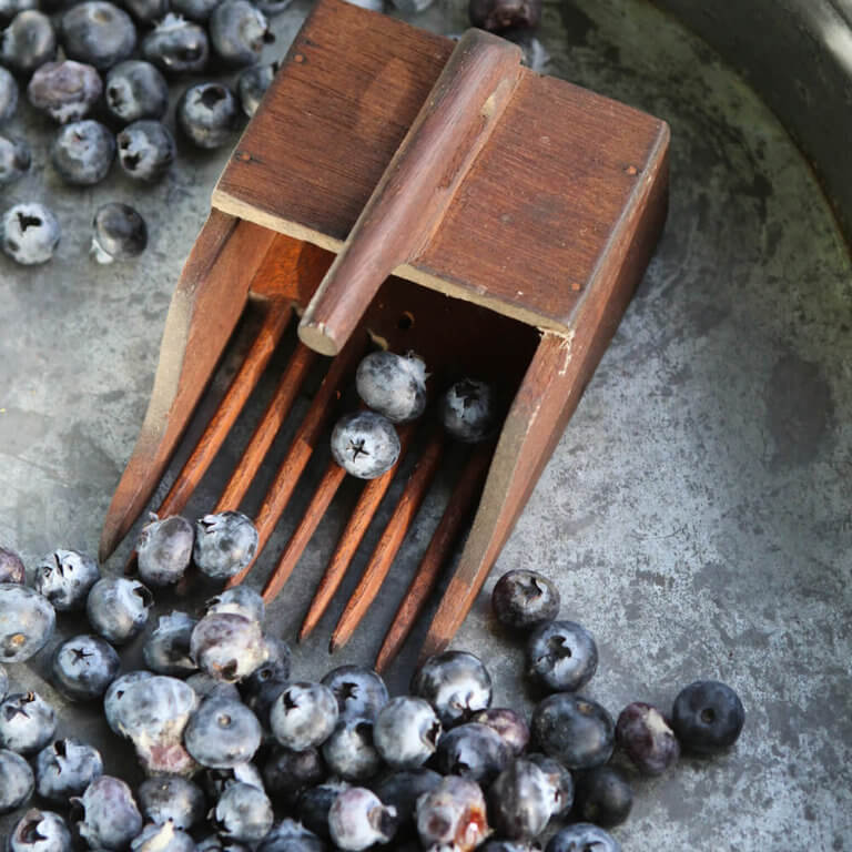 Blueberry Rake Nora Murphy Country House