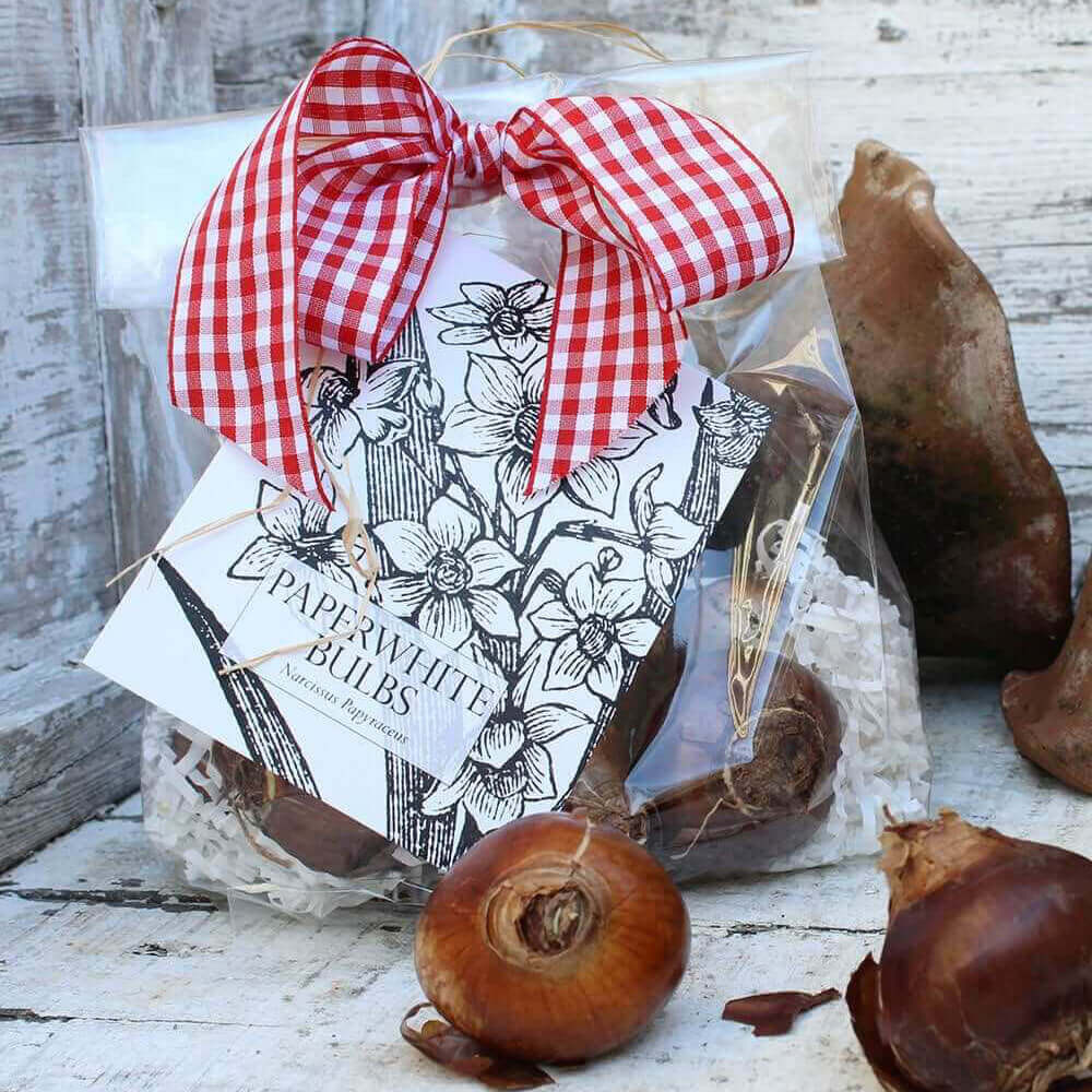 Decoupaged Paper mache Boxes handmade -hearts-oval-square-round – Sweet  Horse Design Co