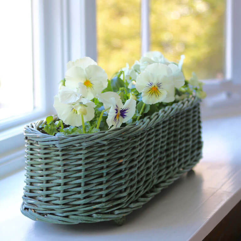 Cambridge Green Wicker Basket - Nora Murphy Country House