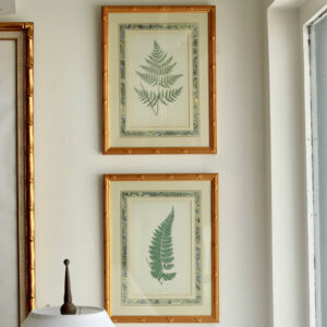 Chelsea House Antique Fern Prints/Pair