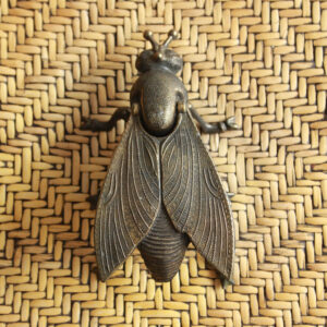 Mr. Fly
