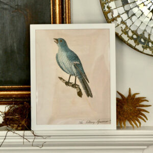 John Derian's 'The Solitary Sparrow'