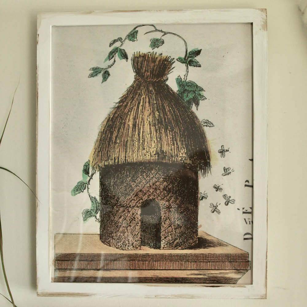 John Derian's 'Bee Skep'