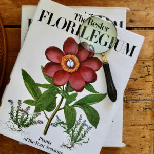 The Besler Florilegium - Plants of the Four Seasons