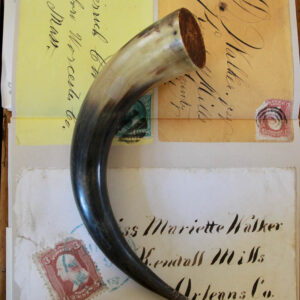 Highfield Antique Warthog Tusk