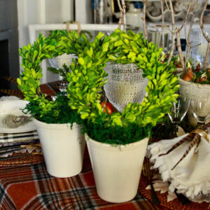 Cottage Boxwood Topiaries/Set of 2