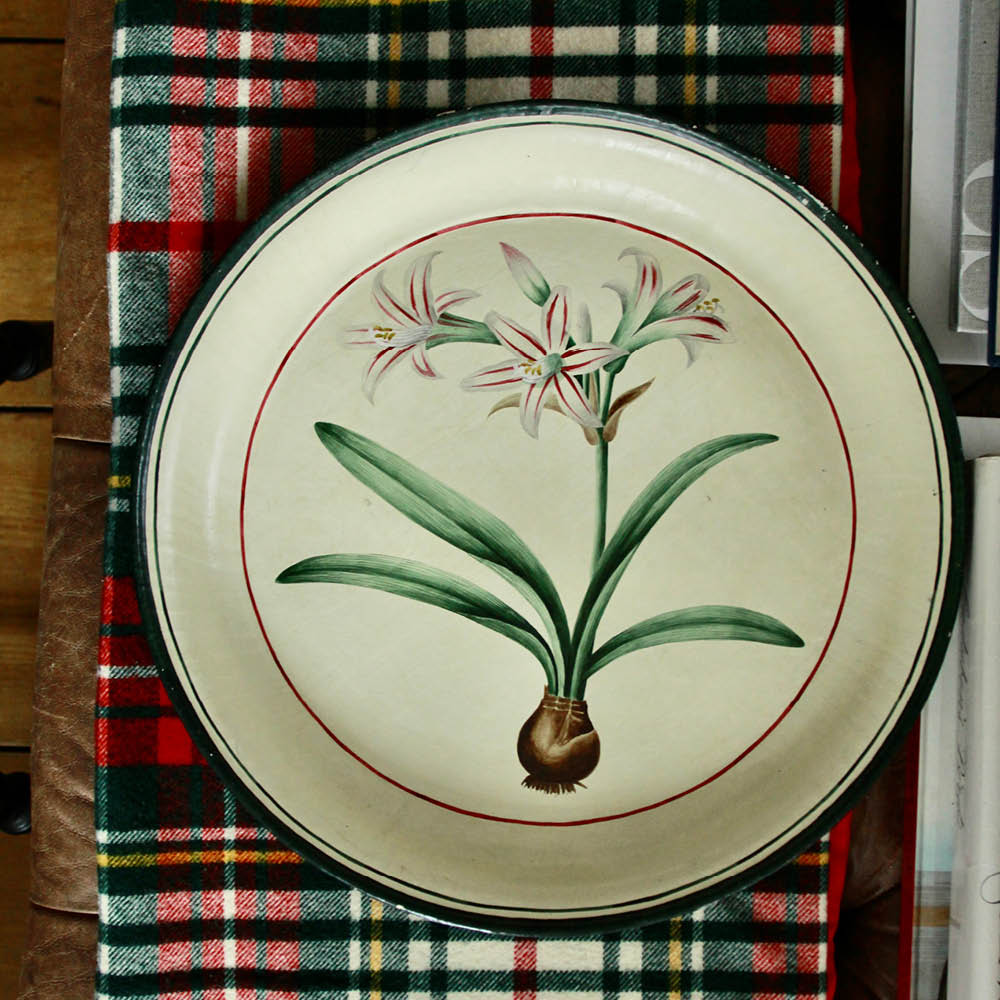 Striped Amaryllis Tray