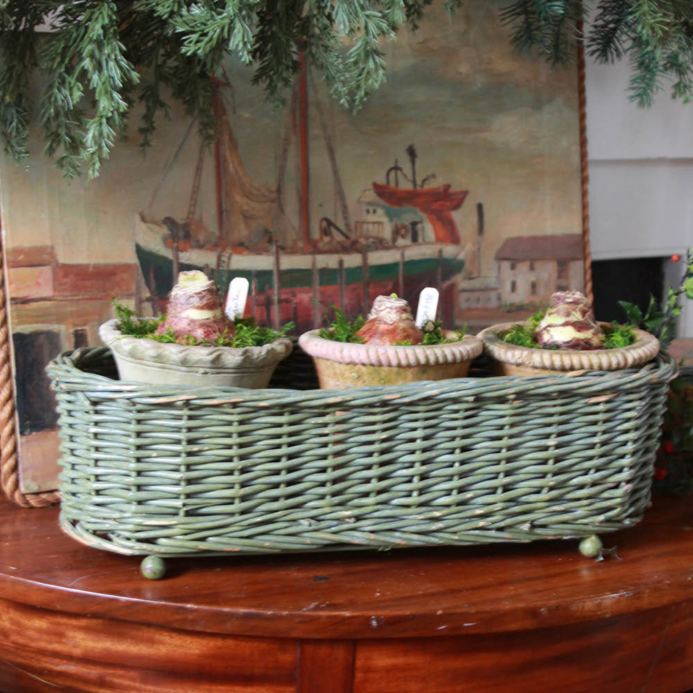 Cottage Wicker Planter