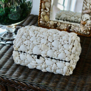 Dominique Seashell Keepsake Box