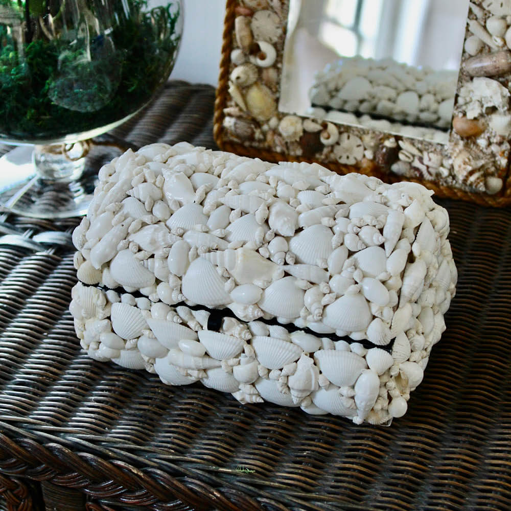 Dominique Seashell Keepsake Box
