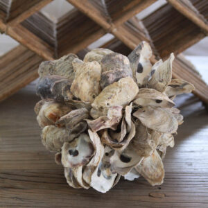 Natural Oyster Cluster