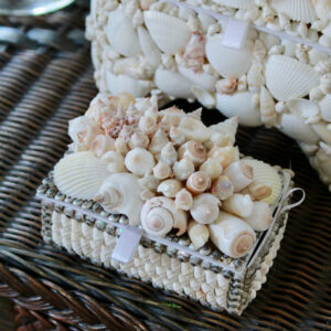 Mount Pleasant Seashell Keepsake Box