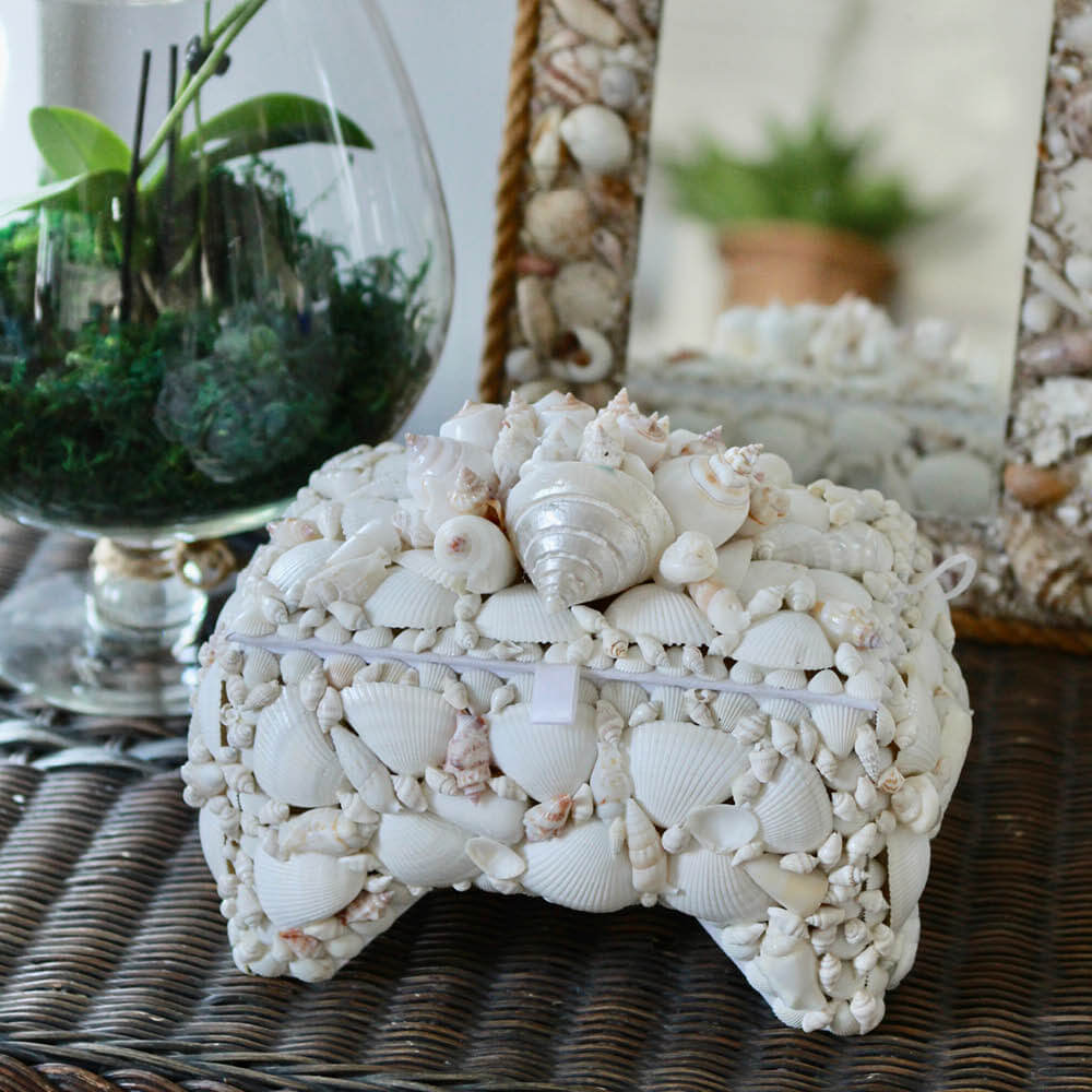 Charleston Seashell Keepsake Box