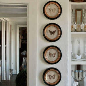 Butterfly Framed Print Collection/Set of 4