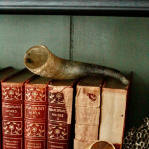 Petite Aged Natural Horn