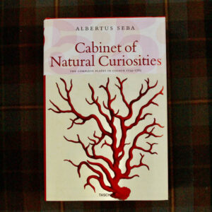 Albertus Seba "Cabinet of Curiosities"