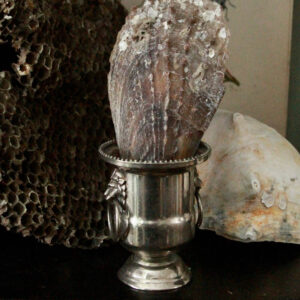 Petite Neoclassical Urn w/Lion Head Ring Handles