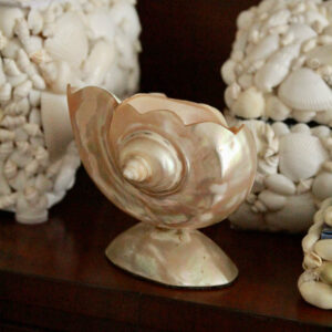 Gracie's Carved Mother of Pearl Footed Shell Bowl