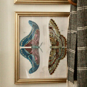 John Derian's, Two Butterflies Print