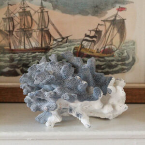 Natural Blue Ridge Coral