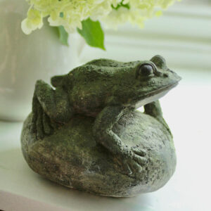 Froggie