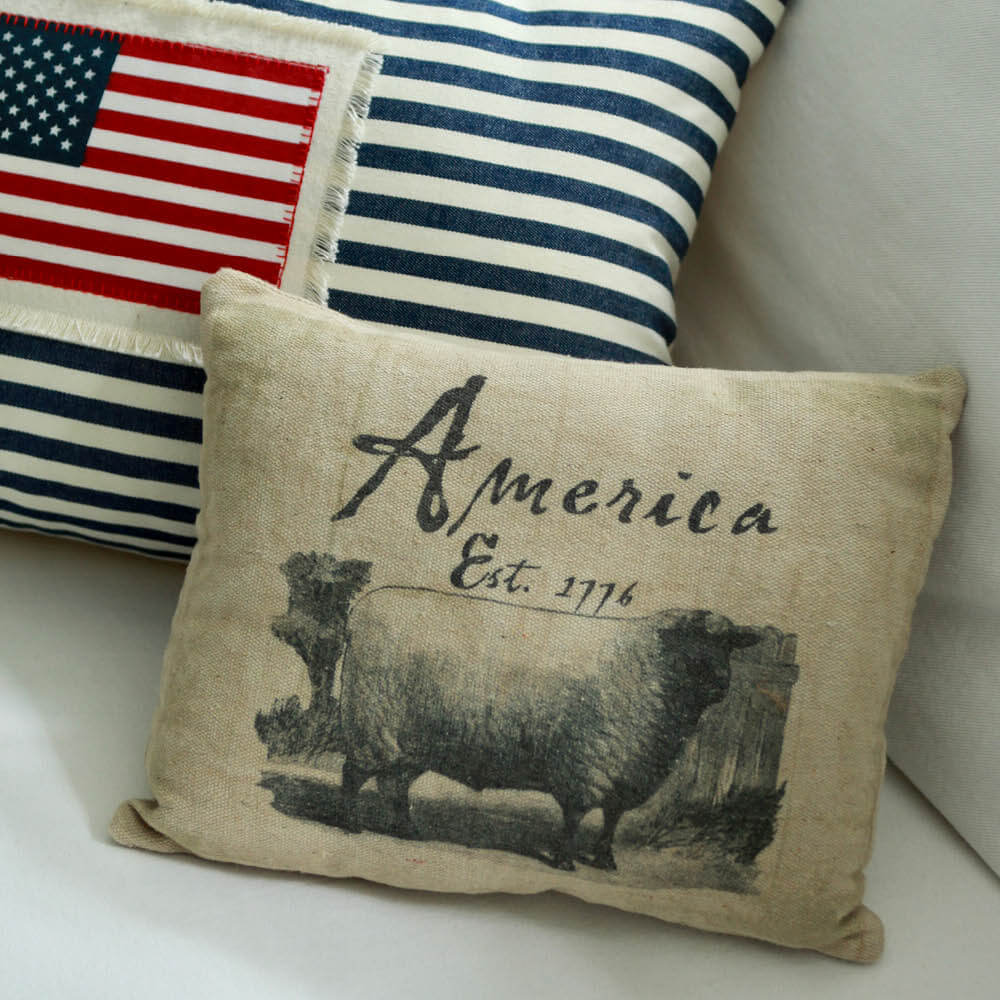 America, Est.1776 Accent Pillow