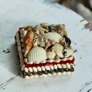 Cape Cod Petite Vintage Seashell Keepsake Box