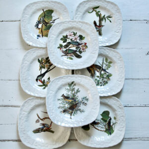 Vintage Audubon Birds of America Decorative Plates/Set of 8